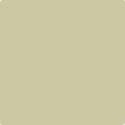 522-Dried: Parsley  a paint color by Benjamin Moore avaiable at Clement's Paint in Austin, TX.