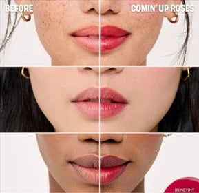 Benetint Liquid Lip + Cheek Blush Stain Benefit