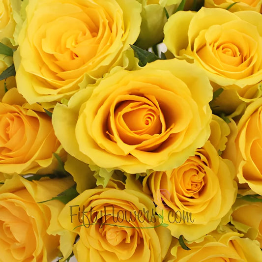 Yellow Idole Rose